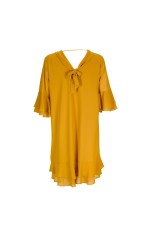 Vestido evas lao atrs