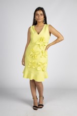 080 Yellow