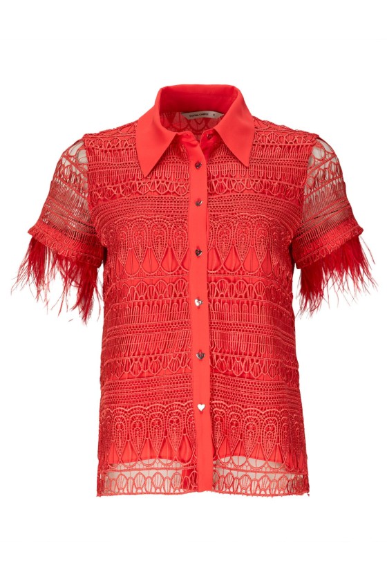 Embroidered blouse