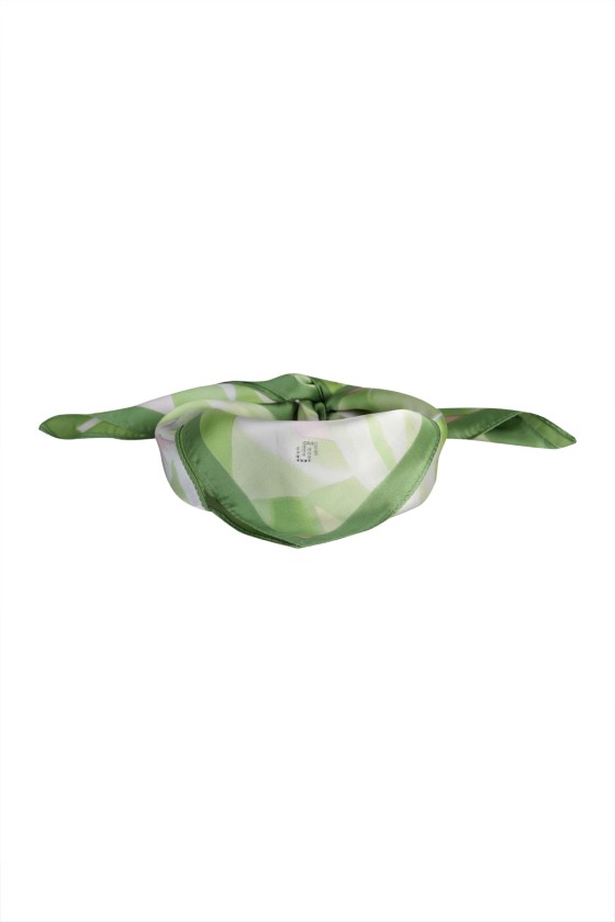 Len�o estampado